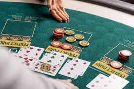 8855bet9